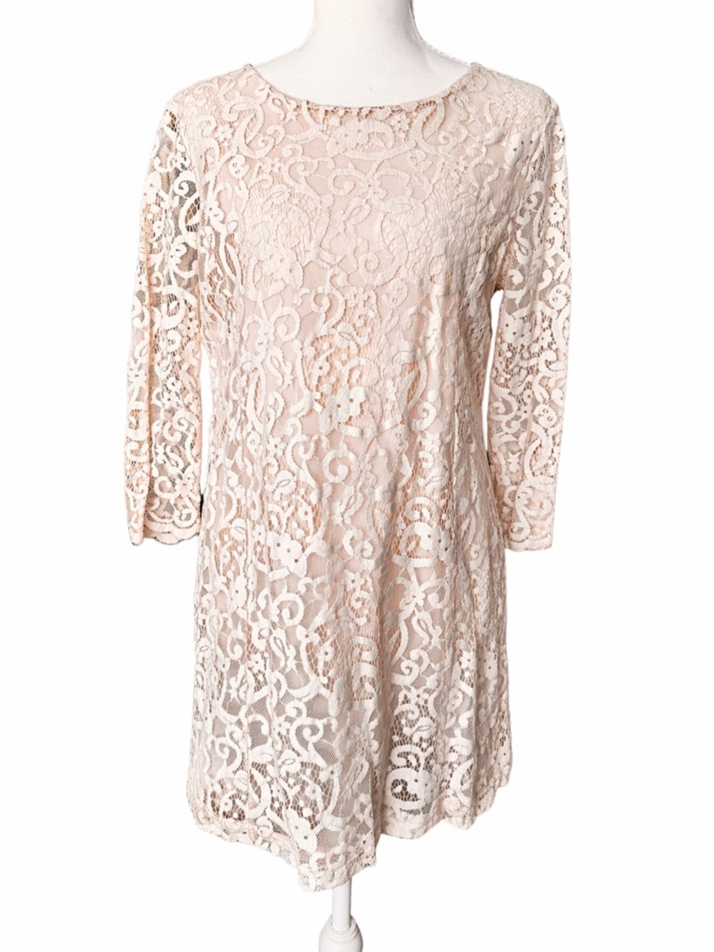 H&M Blush Lace Long-Sleeve Shift Dress